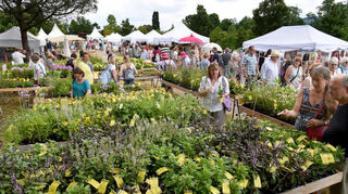 Die Ladenburger Gartenlust findet am Wochenende zum 10. Mal statt. Rund 200 Aussteller sind diesmal vertreten.