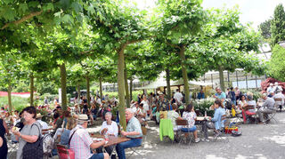 Teile des Rosenhofs verwandeln sich bei der Gartenlust in Ladenburg in einen riesigen Biergarten unter Bäumen.