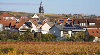 Die Ortschaft Kallstadt bei Bad Dürkheim liegt umgeben von Weinreben rund 25 Kilometer von Mannheim entfernt. Von hier stammt Donald Trumps Großvater.