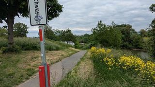 Der Beginn des Radwegs von Ilvesheim nach Ladenburg. Hat er überhaupt eine Zukunft?