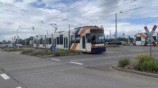 Wegen umfangreicher Gleisarbeiten können hier am Feudenheimer Aubuckel von Mitte September keine Straßenbahnen mehr verkehren. Auch für Autofahrer, Radfahrer und Fußgänger kommt es zeitweise zu Behinderungen.