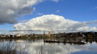 Auch im Neckar wurde bereits TFA nachgewiesen.
