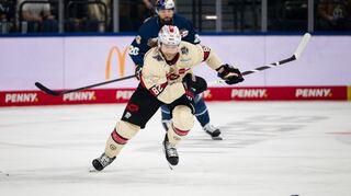 Die Adler Mannheim verstärken sich mit dem Verteidiger Hayden Shaw.