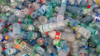 Der Hauptpreis in der Kategorie Kunst hat PET-Flaschen recycelt.