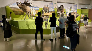 Riesenhirsch, Mammut, Wollhaarnashorn, Steppenbison, Höhlenlöwe – 60 Exponate aus Mannheim sind bei der Japan-Tournee zu sehen, hier die ersten Besucher.