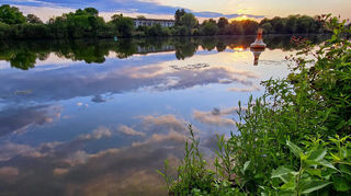 Blick vom Ufer Richtung Neckarhausen: Das Wasser des Neckars war stark mit Trifluoracetat belastet, weil eine Chemiefirma den Stoff eingeleitet hatte. Die erlaubte Menge wurde daraufhin reduziert.