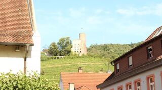 Wie es mit ihr weitergeht, ist derzeit noch unklar: die Strahlenburg, Wahrzeichen Schriesheims und der Region steht zum Verkauf. Nach Angaben von Miteigentümer Gilbert Lauer gibt es Gespräche mit Interessenten, aber es sei noch nichts spruchreif.
