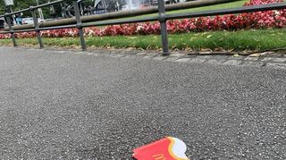 Pommes-Tüte in der Schmuckanlage am Wasserturm. Gerade Fastfood-Verpackungen werden in Mannheim häufig einfach weggeschmissen.