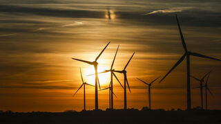 Die Grüne Liste steht zur Windkraft in Schriesheim, sofern die artenschutzrechtlichen Gutachten nicht dagegen sprechen.