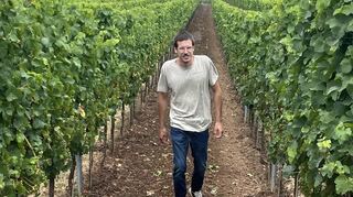 So sieht ein Weinberg aus, der ordentlich gepflegt ist. Jakob Scholler bewirtschaftet mit seinem Vater rund 40 Hektar Rebflächen.