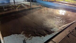 Das Kinderbecken im Waldschwimmbad Schriesheim wurde Ende Mai überflutet. Diesmal hatte die Stadt Vorkehrungen getroffen, es passierte nichts.