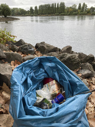 Regelmäßig wird bei Aktionen am Neurhein bei Lampertheim wie dem Rhein Clean up viel wilder Müll eingesammelt.
