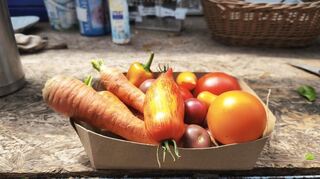 Unter dem Obst und Gemüse von Solawi in Weinheim sind auch Sorten, die man im Supermarkt nicht findet.