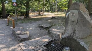 Der Trinkbrunnen am Karlstern stillt den Durst von Mensch und Hund.