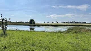 Die Kleine Lagune oder auch Blaue Lagune liegt zwischen Dossenheim und Ladenburg.