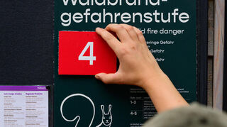 In Mannheim gilt derzeit die Waldbrandgefahrenstufe vier von fünf (Symbolbild).