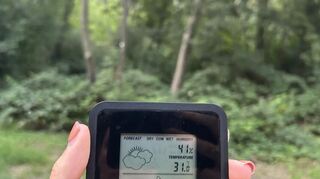 Im Maudacher Bruch ist es mit 31 Grad von den besuchten Orten in Ludwigshafen am kältesten.