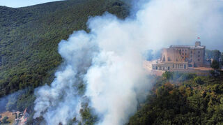 Vor drei Jahren brannte ein Waldstück unterhalb des Hambacher Schlosses.