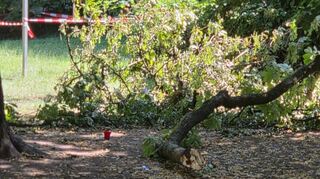 Die Staatsanwaltschaft hat das Verfahren nach dem tödlichen Unfall auf einem Heidelberger Spielplatz eingestellt. Es gab niemanden, den eine strafrechtlich relevante Schuld trifft.