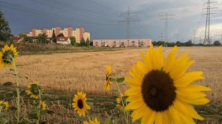 Die Aussichten für das Gewerbegebiet in Ilvesheim sind nicht mehr ganz so düster, wie es der Himmel im Hintergrund vermuten lässt.