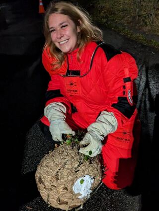 Nicole König in ihrem Schutzanzug - den Helm hat sie abgenommen, da die Asiatischen Hornissen bereits betäubt sind.