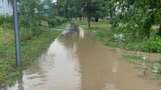 Starkregen und Feuerwehreinsatz, der abschüssige Weg steht unter Wasser: Auf Mannheim-Franklin hat es im August 2025 nach einem Unwetter starke Überflutungen gegeben.