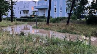 Starkregen und Feuerwehreinsatz, die Anwohner sind verärgert, Wege nicht nutzbar: Auf Mannheim-Franklin hat es nach dem Unwetter mit Starkregen starke Überflutungen gegeben.