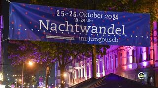 Im vergangenen Jahr kamen rund 25.000 Menschen an den beiden Nachtwandel-Abenden in den Mannheimer Stadtteil Jungbusch.