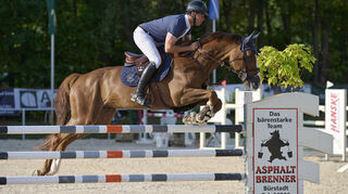 David Will (RFV Viernheim) auf King George.