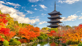 Sattes Rot und leuchtendes Gelb: So zeigt sich die Natur in Japan während des Koyo.