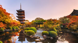 Herbst in Japan erleben: Tempelgärten als malerische Kulisse der Laubfärbung.