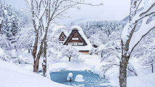 Japan im Schnee – Winterlandschaften wie aus einer Postkarte.