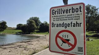 Der Vogelstangsee an einem Sonntagmorgen. Zurzeit sieht es aufgeräumt aus, doch das ist nicht von Dauer. Der Sandstrand müsste gereinigt werden.