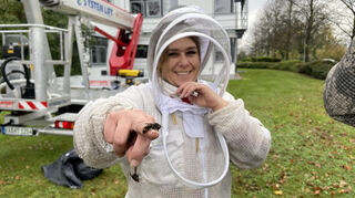 Nicole König im Kampf gegen die Asiatische Hornisse. Die Bürstädterin siedelt häufig auch die geschützte, heimische Art um - gerade erst wieder auf dem Bildungs- und Sportcampus.