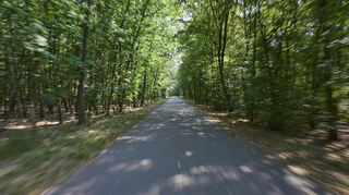 So sieht‘s für die Fahrgäste aus, wenn es mit gemütlichen 15 Stundenkilometern durch den Bürstädter Wald geht.