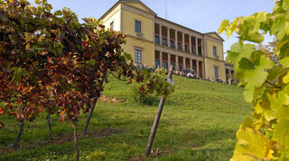 Das Schloss Villa Ludwigshöhe bei Edenkoben steht inmitten von Weinbergen.