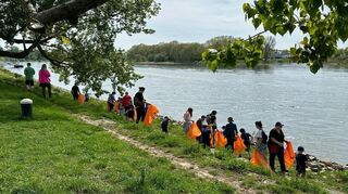 Am 13. September werden wieder zahlreiche Menschen erwartet, die helfen, den Rhein von Unrat zu befreien.