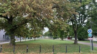 Links die Kinderhäuser, rechts das Mannheimer Herzogenriedbad - und dazwischen? Bislang deutet alles darauf hin, dass aus dieser Grünfläche demnächst ein Parkplatz wird.