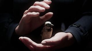 Reif für den Studenten-Oscar: Szene aus Tobias Eckerlins Film "A Sparrow's Song".