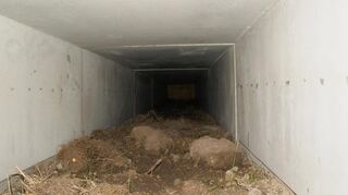 Bei der Verlegung der L 637 bei Seckenheim werden gleich drei solcher Hamstertunnel gebaut, um den geschützten Nagern eine Unterquerung von Straße und RNV-Gleisen zu ermöglichen.