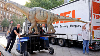 Per Sattelzug gebracht, mit Gabelstapler abgeladen: Der „Europasaurus holgeri“ wird für die Ausstellung „Saurier – Faszination Urzeit“ an den Reiss-Engelhorn-Museen angeliefert.