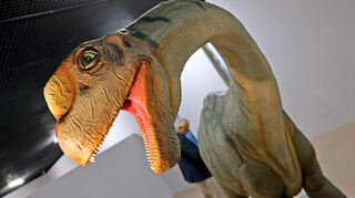 Man denkt, er beißt gleich zu – aber der Europasaurus war Pflanzenfresser.