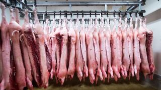 China erschwert mit Zöllen den Import von Schweinefleisch aus der EU. (Symbolbild)