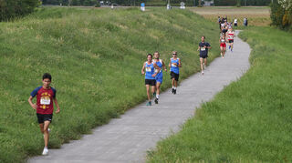 Läufer auf der 5-Kilometer-Distanz am Rheindamm.