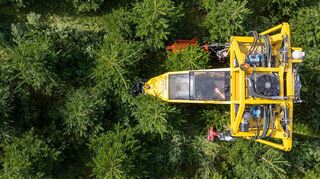 Mit seinem Baumschultraktor fährt Robert Kleinstäuber vom Weihnachtsbaumhandel «een Baum aus Sachsen» durch eine Plantage mit Nordmanntannen.
