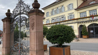Das Schloss in Neckarhausen und die Ausstellung über die Grafen von Oberndorff sind am Tag des Denkmals geöffnet.