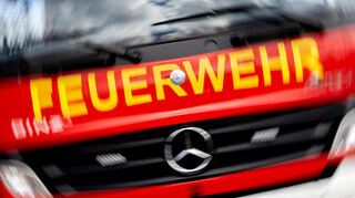 Bei einem Küchenbrand in Bürstadt sind drei Katzen in einer Erdgeschosswohnung ums Leben gekommen. (Symbolbild)