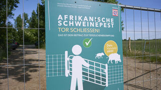 Die Mitglieder der Bürgerinitiative und die Jägerschaft sehen in dem Schutzzaun gegen die Afrikanische Schweinepest an der Maulbeeraue eine Bedrohung für Wildtiere.