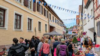 Das Ladenburger Altstadtfest, hier der Flohmarkt in der Färbergasse, war am Samstagabend bei seiner 50. Auflage so gut besucht wie lange nicht mehr.