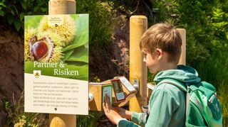 6 Kilometer Natur, Wissen und Genuss: Familienfreundlicher Themenweg durch die Welt der Edelkastanie.